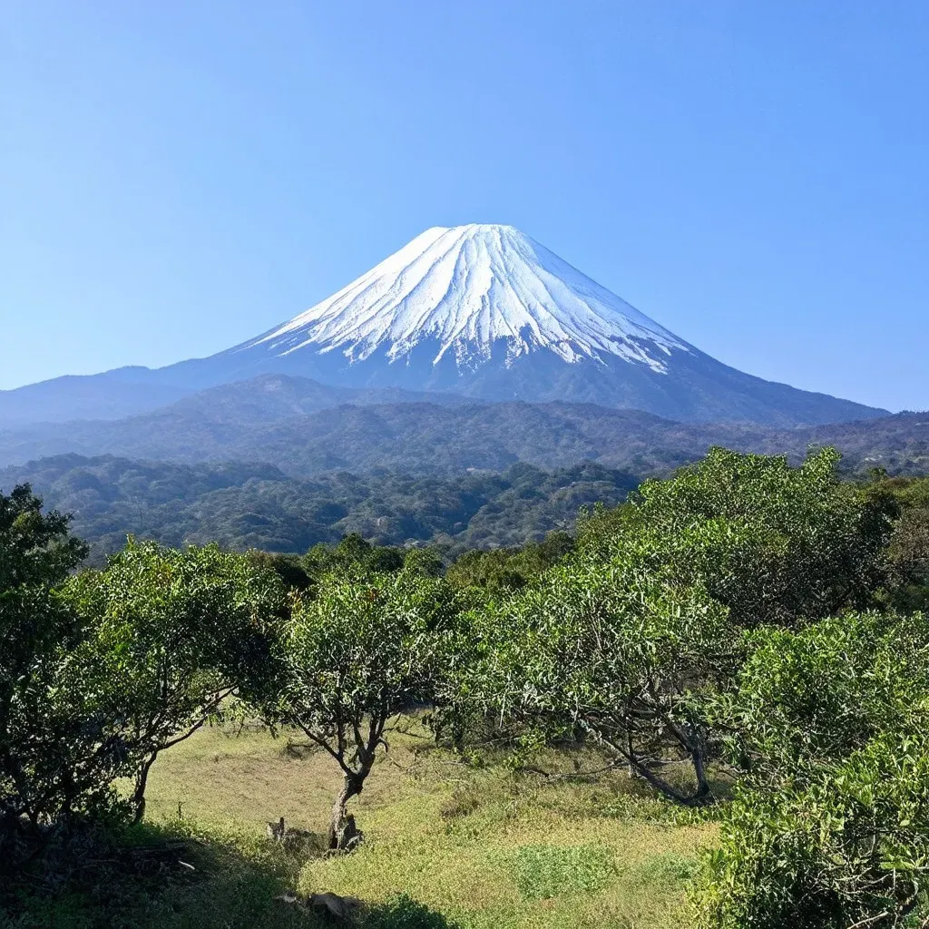 山羊座の性格分析